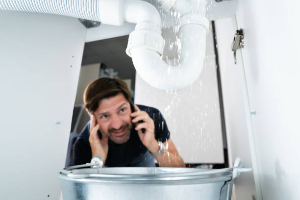 Best Pipe Repair Near Me  in White Pine, TN