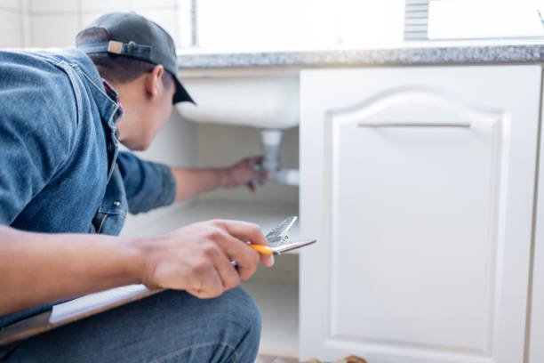 Best Plumbing Services Near Me  in White Pine, TN
