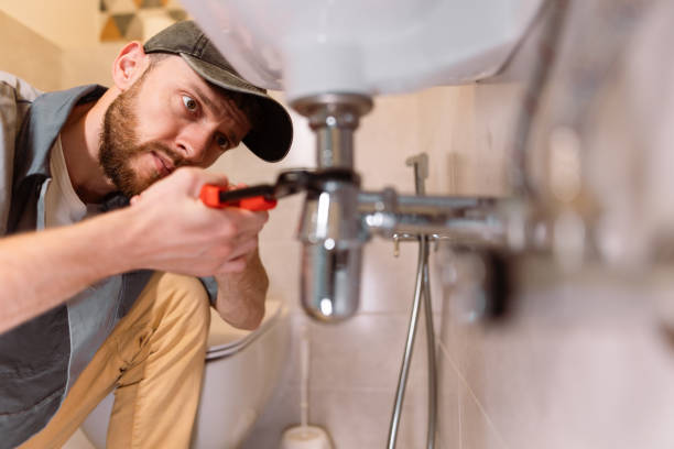 Best Same-Day Plumbing Service  in White Pine, TN