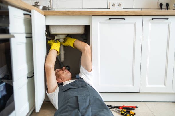 Best Local Plumber Services  in White Pine, TN