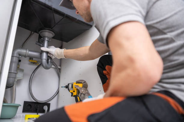 Best Clogged Drain Plumber  in White Pine, TN